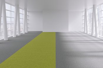 Visualise carpet tiles in commercial environment