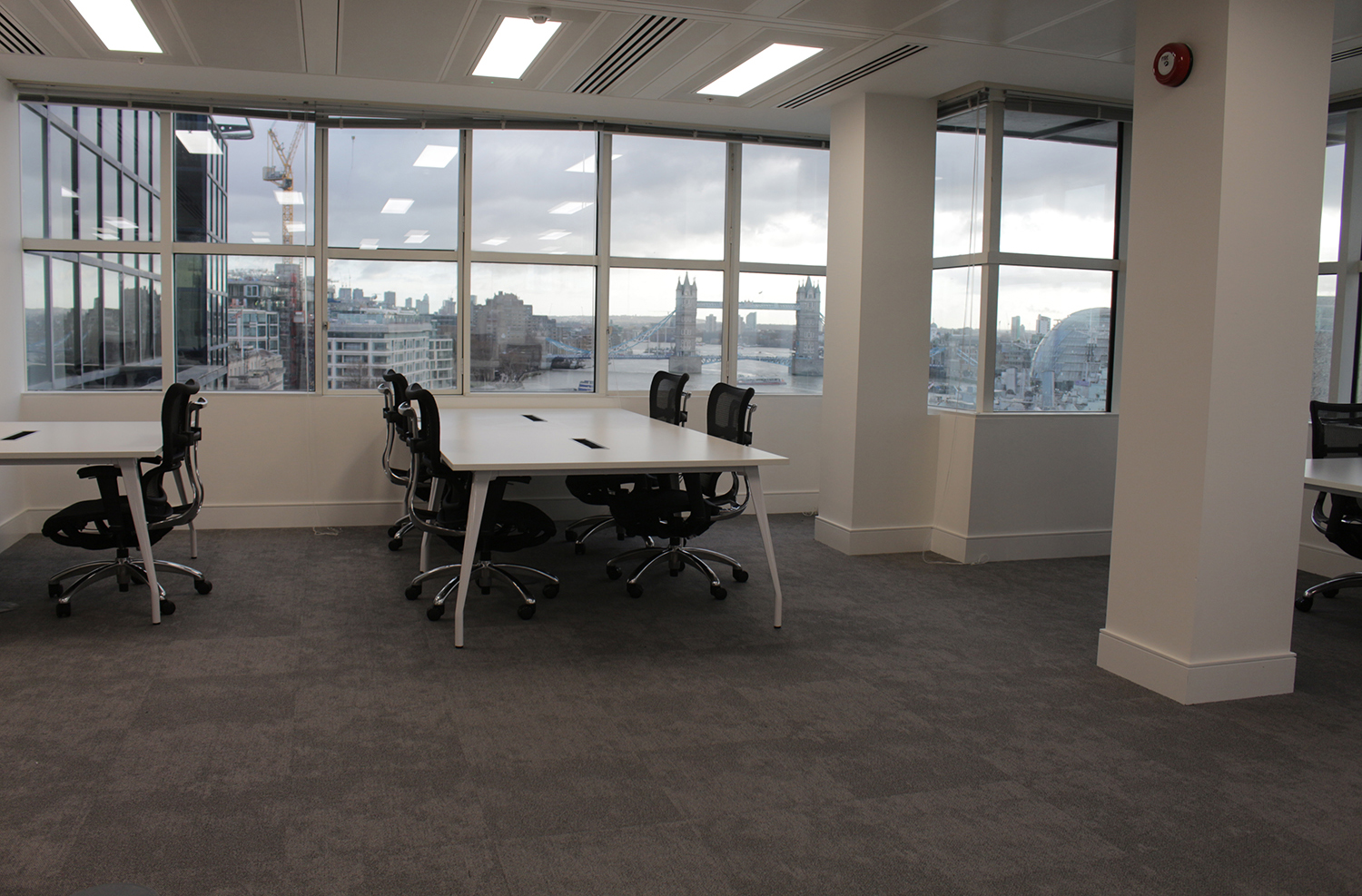 Freedom Storm on floor at London Office