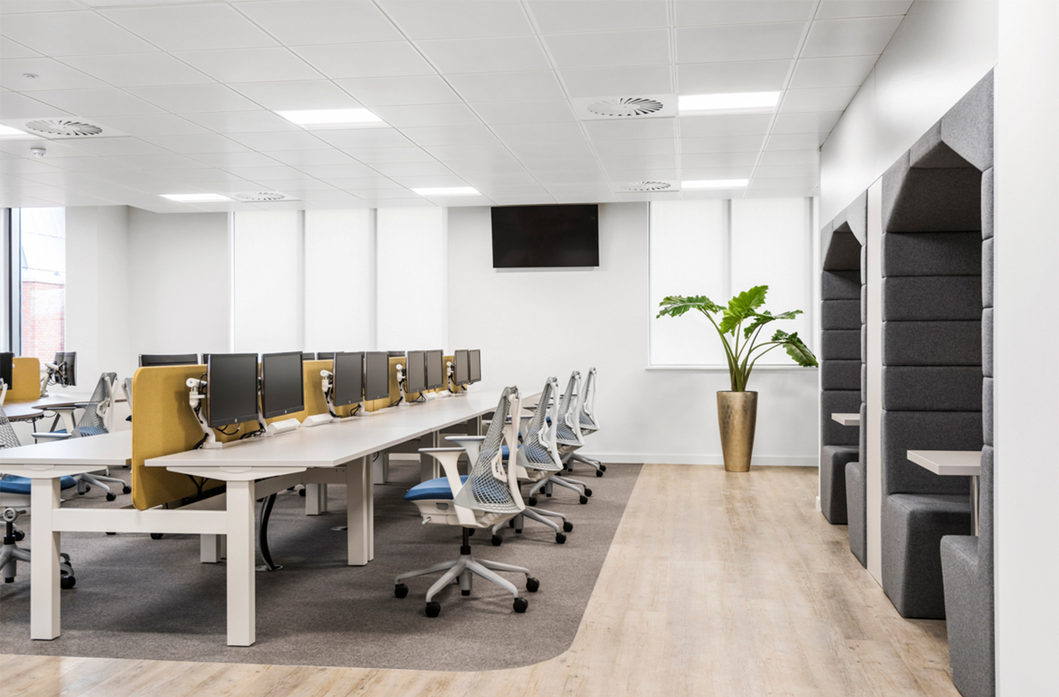 good office design with legal and environmental considerations