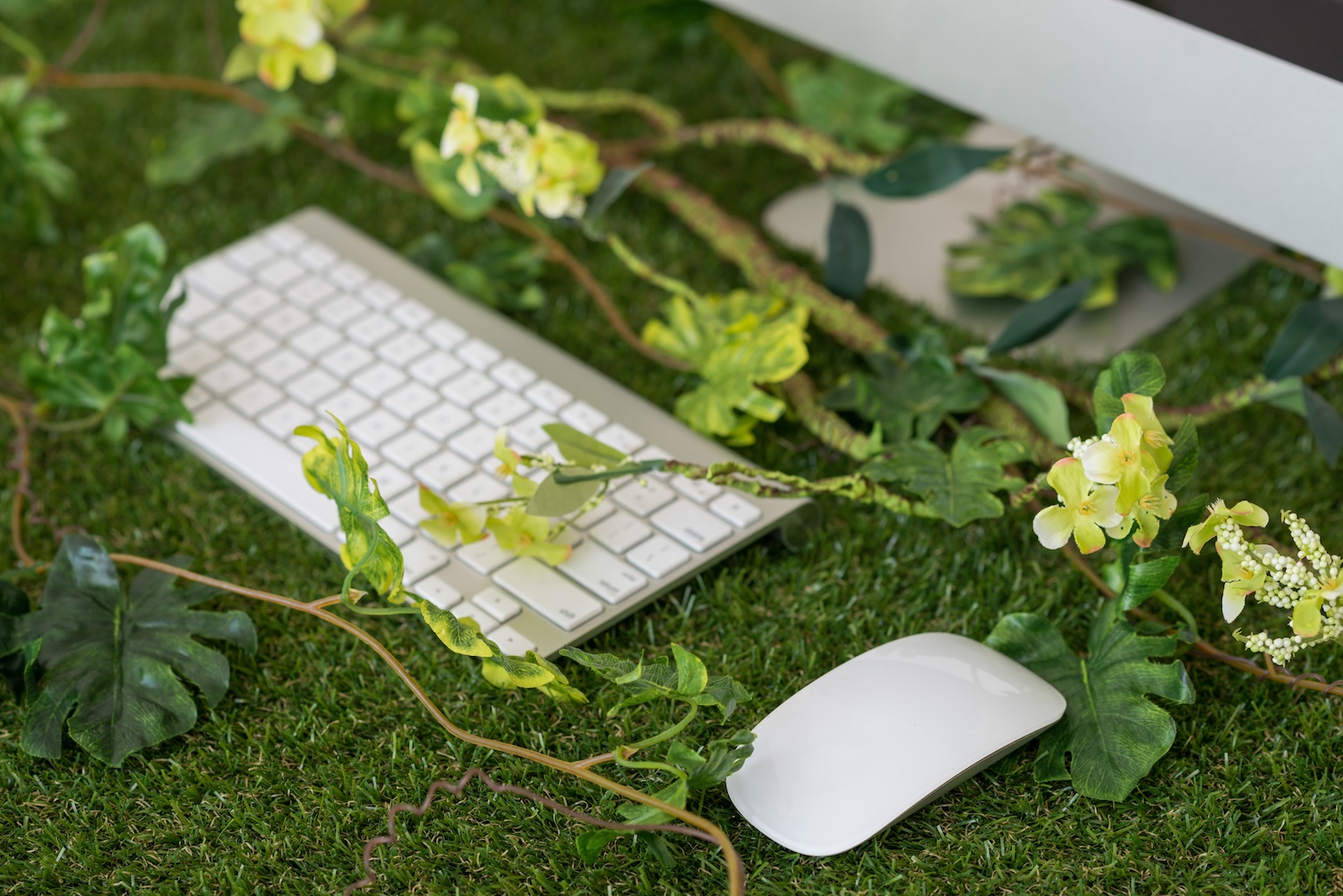 Keypad and mouse among greenery - bringing nature into the office