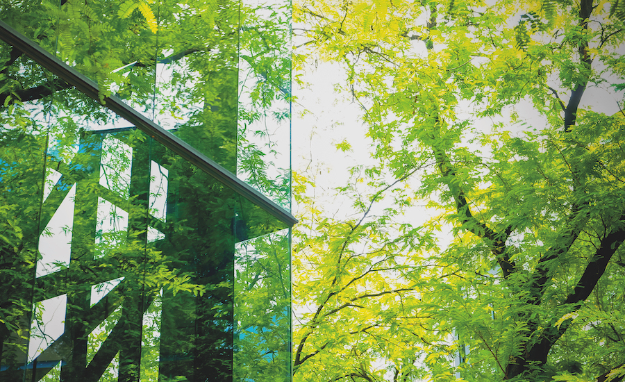 Green trees reflecting off of glass building