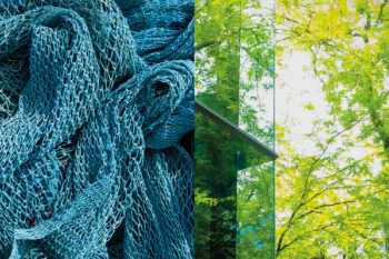 Sustainability